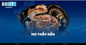 Mơ Thấy Rắn – 5 Điềm Báo Linh Thiêng Và Bất Ngờ